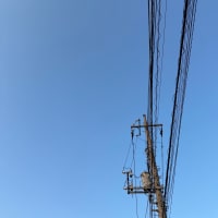 2025/06/30
