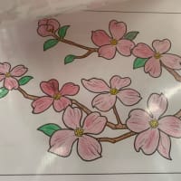 ほのかの日記🌈💫