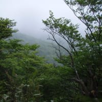 九州山旅　2011年　その3　　祖母山 　　6月7日　