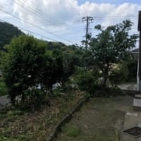 家庭い庭木の伐採