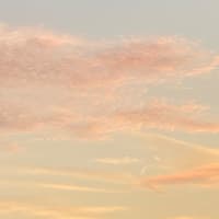 親との付き合い方　梅雨時の迷走