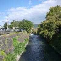 京都　疎水