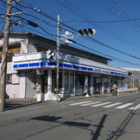 １月の寒川神社：寒川神社境内から参道を歩いてＪＲ相模線宮山駅へ　ＰＡＲＴ２