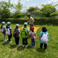 ビーバー隊　隊集会　ポイントハイク‼️