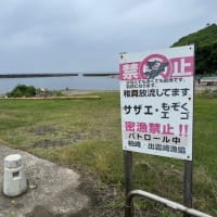 縁あって日雇い肉体労働をやってみた　　その２