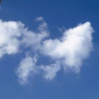 今日の空・・・