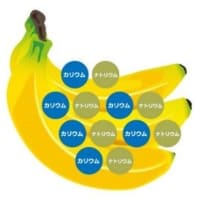厚生労働省「健康日本21」改定に伴う目標「果物1日200g」制定　バナナを“ベースフルーツ”とする新提案