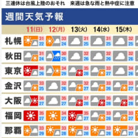 これからもこんな暑さなんだろうな