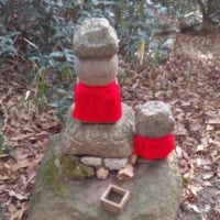 甲山散策