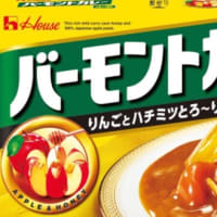 カレーライスの夕食