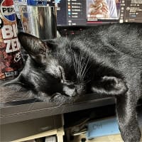 熟睡中ｗ
