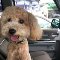 予防接種