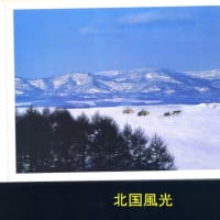 海外旅行　中国観光