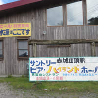 山には登らないつもりで赤城に行ったのですが、結局、地蔵岳に登ってきました