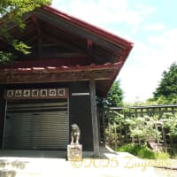 山の頂上で愛を考える旅... Part 1