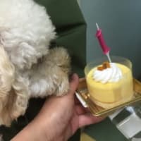 １歳になりました‼️