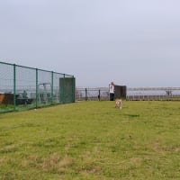 当分このまま・・・