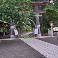 茅の輪くぐりの季節になりますね