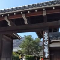 京都へ行きました