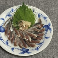 入梅イワシの酢締め
