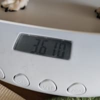 お婆ちゃん似