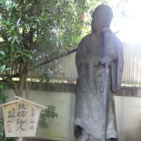 たまに行く赤塚山乗蓮寺の「東京大仏」！凛々しいお顔がたまりません！