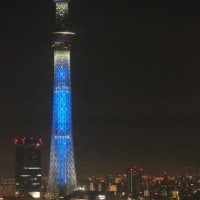 日向坂46の虹開催記念特別ライティング1