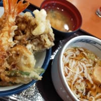 疲れちゃったなぁ……