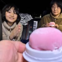 ２０２４年冬　九州の旅第二部　やまなみハイウェイの入り口　地獄めぐり　海地獄　湯けむり展望台　堀田（ほりた）温泉鉄輪地獄地帯公園駐車場　ヤマザキの雪苺娘