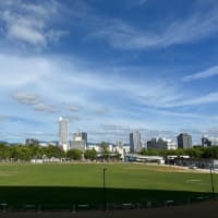 広島市の新サッカースタジアム「エディオンピースウイング広島」前の中央公園広場の芝張りが進んでいます