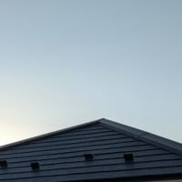 大國主大神の言葉　　　　　歯なのかなぁ？
