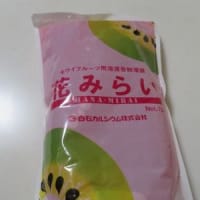 キウイの授粉が終わりました