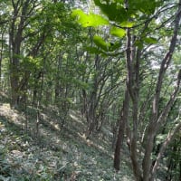 山頂で伝えましょう♡