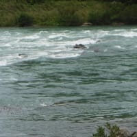 長良川の水量