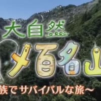 NHKで五泉市紹介「大自然グルメ百名山～家族でサバイバルな旅～」早出川の源流へ