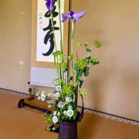 二条城　市民煎茶の会