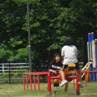 石手川緑地公園を散歩