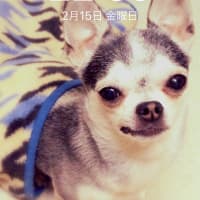 暖房問題