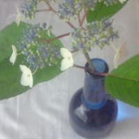 山に行きたいよー