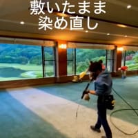 レストランカーペットは敷いたままでグリーンに染め直し#shorts