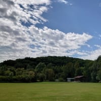さっきぃツアー ワーキング編