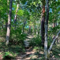 天狗〜八王子山〜白山展望台〜法泉寺山〜湯村山