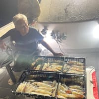 ７月2日から〜４日の釣果〜🎣🐟