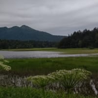 夏休みも終わる