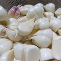 ニンニクの醬油漬け
