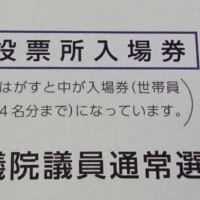 参院選、スタートしましたね。