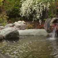 熊谷天然温泉、花湯スパリゾート