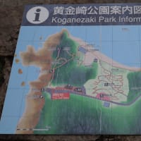 初夏の愛知・静岡の旅（１０）黄金崎公園の馬ロック：西伊豆町
