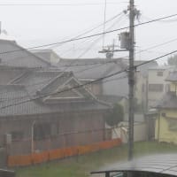 きょうも夕立ち