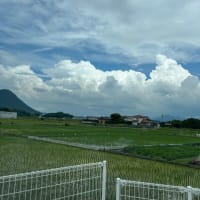 蒸暑い毎日